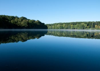 Etang de Tronçais