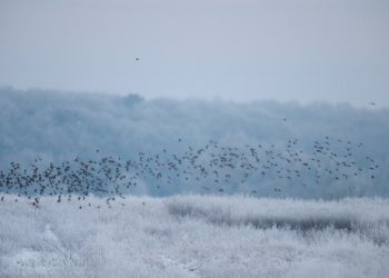 Hiver Bourbonnais