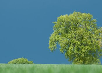 Printemps Bourbonnais