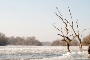 Hiver sur la rivière Allier