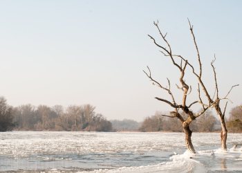 Hiver sur la rivière Allier