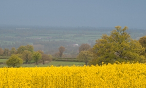 Le réveil du bocage