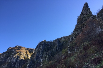 Saison de brame 2018