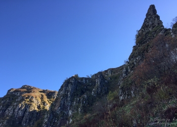 Saison de brame 2018