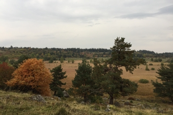 Saison de brame 2018