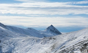 Troncais-Nature Rut du chamois