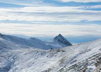 Troncais-Nature Rut du chamois