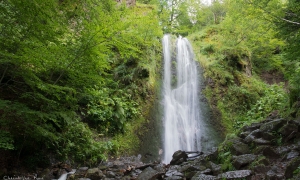 Troncais-Nature en vallée de Chaudefour