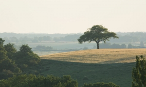 Troncais-Nature, Ambiance matinale