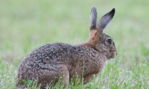 Troncais-Nature, Prêt pour le départ