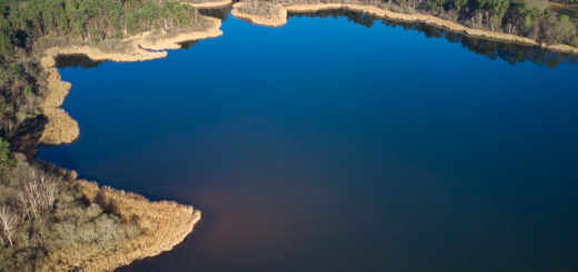 Troncais-Nature-St-Bonnet-Tronçais