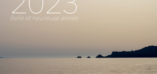 Bonne année 2023