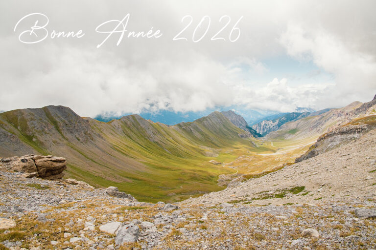 2026