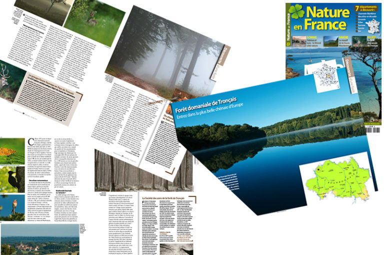 Publication, promenade en forêt de Tronçais.